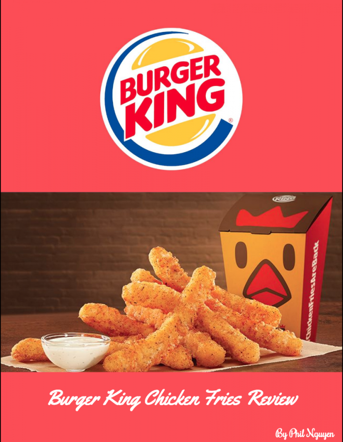Burger+King+Chicken+Fries+Review