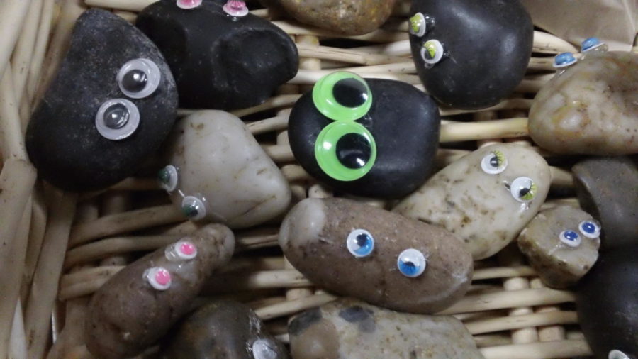 Pet rocks wait to find their forever homes. Senior survivor McKenzie Rogers charges one dollar for these precious friends. 