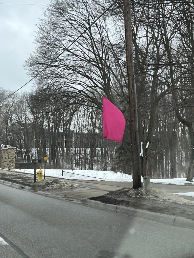 These flags are all along Baldwin street for the week of pink out every year. People driving down the street can notice the flags and get excited for the game and do some fundraising. 