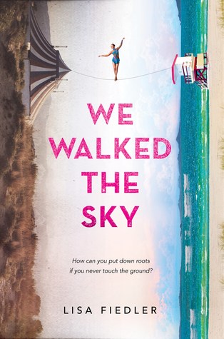 We Walked the Sky review