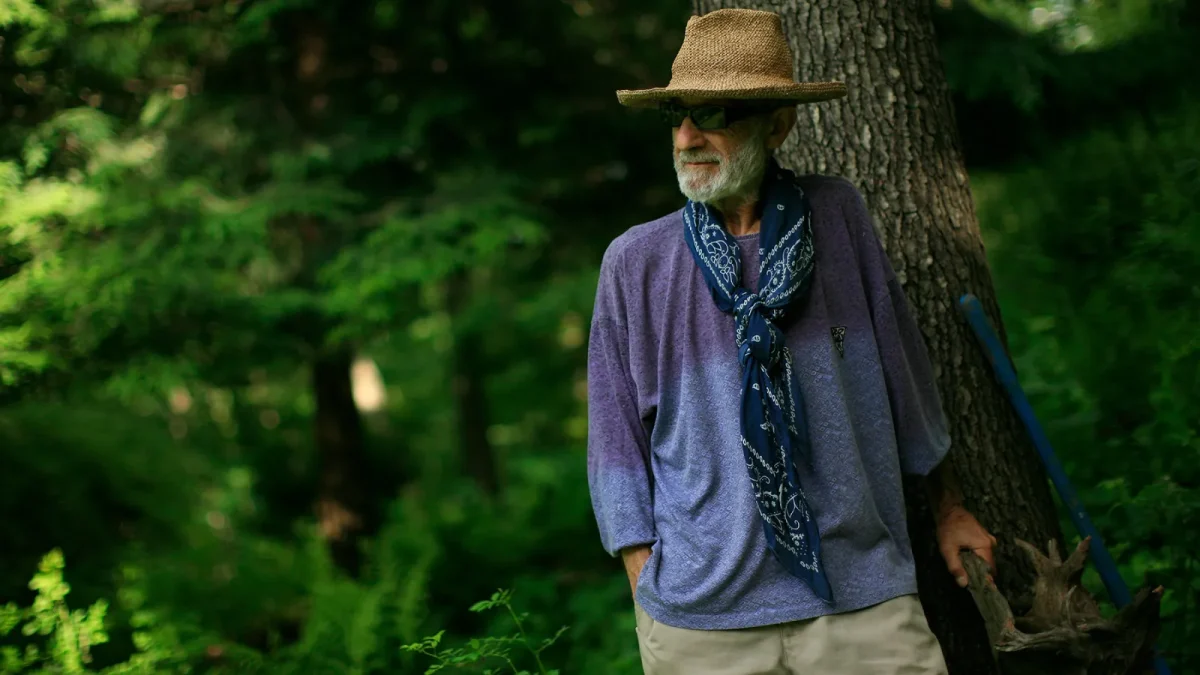 Frank Serpico now 